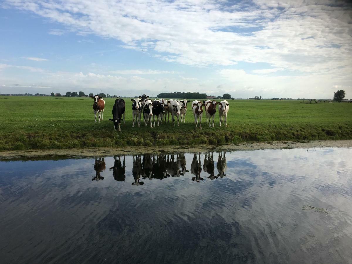 Vakantiehuis Het Voorhuis Op Landgoed Koepeltjesplaats Gaast Exterior photo